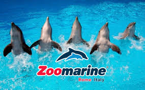 Zoomarine